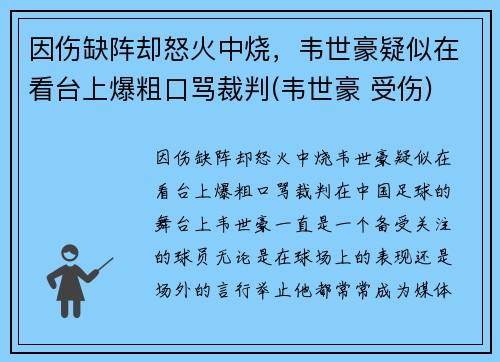 因伤缺阵却怒火中烧，韦世豪疑似在看台上爆粗口骂裁判(韦世豪 受伤)