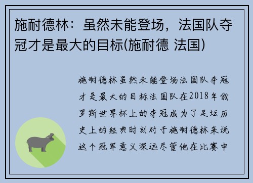 施耐德林：虽然未能登场，法国队夺冠才是最大的目标(施耐德 法国)