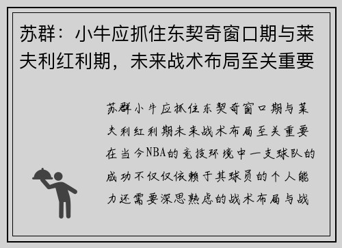 苏群：小牛应抓住东契奇窗口期与莱夫利红利期，未来战术布局至关重要